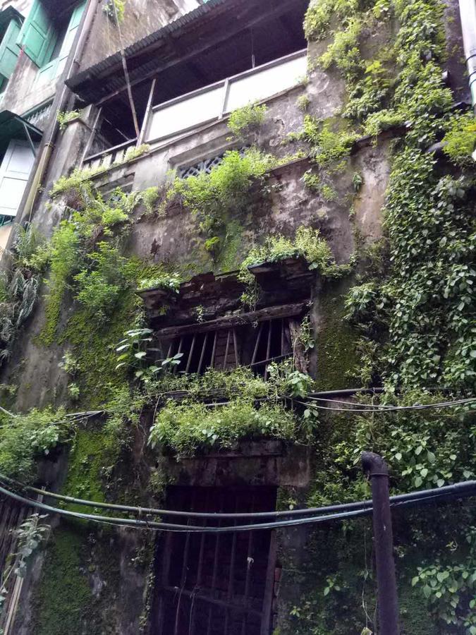 Baobabed Hostel Yangon, Myanmar ภายนอก รูปภาพ