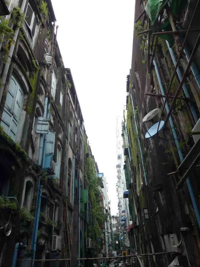 Baobabed Hostel Yangon, Myanmar ภายนอก รูปภาพ